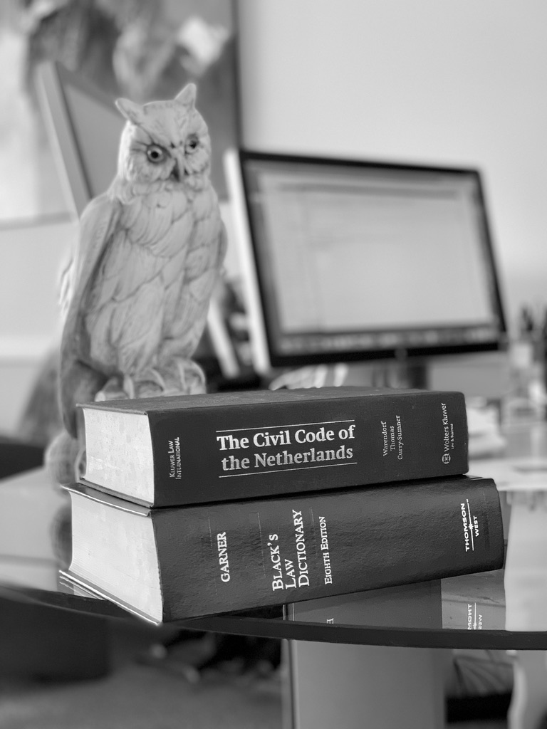 image013 Statue of owl on Dutch Civil Code and competition law reference book