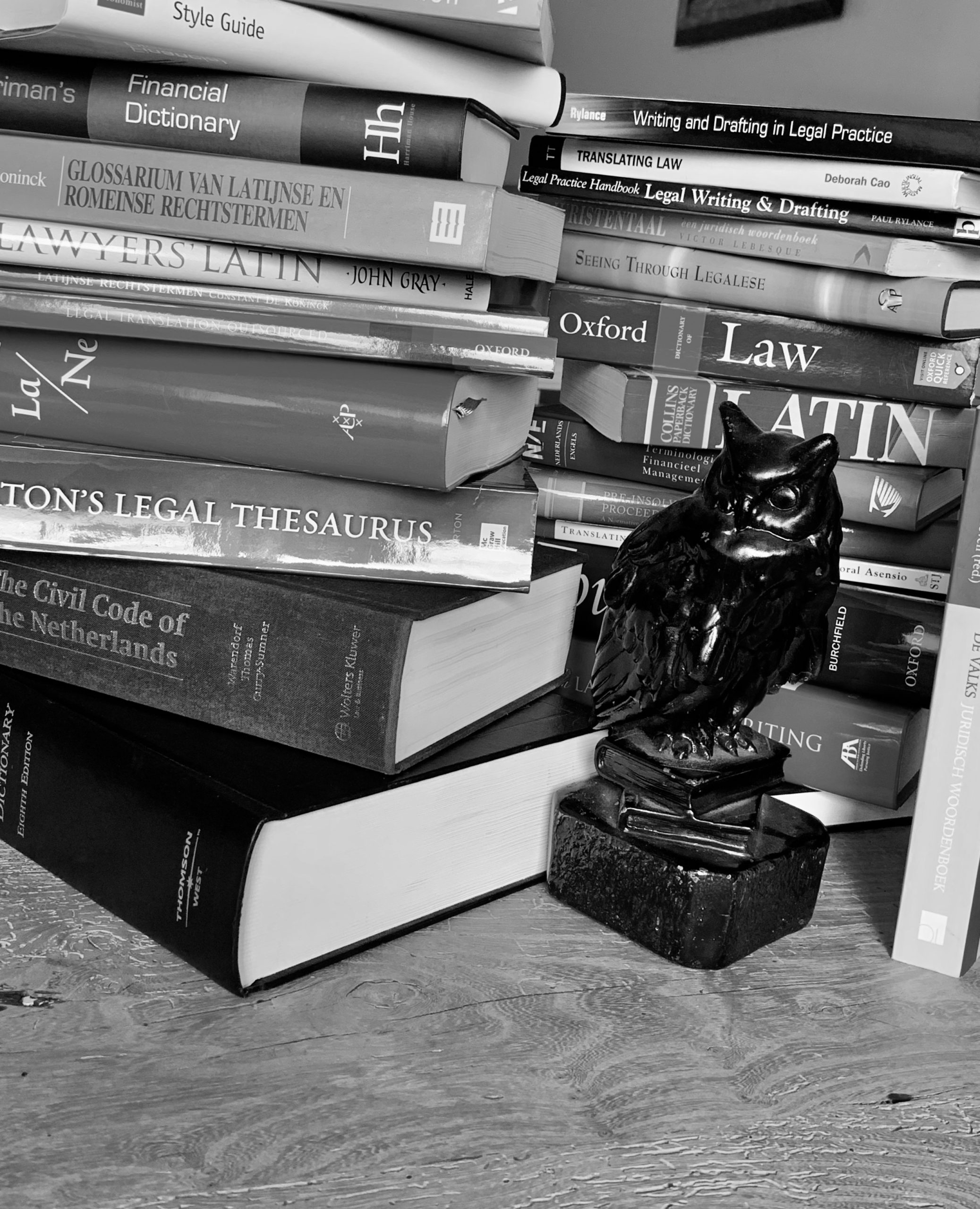 Owl with reference books for legal translation Statue of owl in front of stack of legal dictionaries and text books for corporate law and commercial litigation